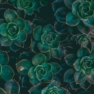 Meet your Posher, Maren